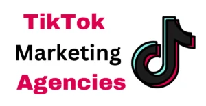 TikTok Marketing Agencies